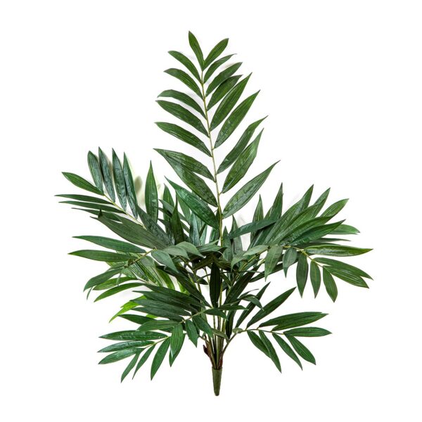 PARLOUR PALM CESPUGLIO - 75CM