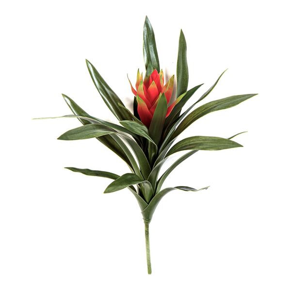 BROMELIA GINGER ROSSO - 40CM