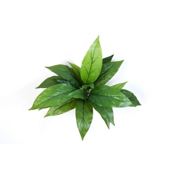 CORDYLINE VERDE - 30CM