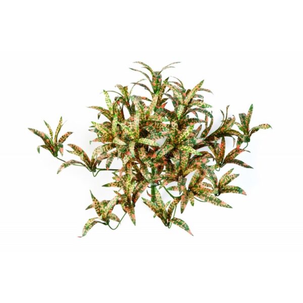 ROSSO POINTED SPIDER CESPUGLIO - 35CM