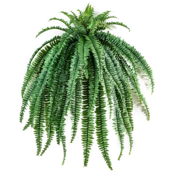 FERN MEDIUM SOSPESA X 52 LV - 105CM