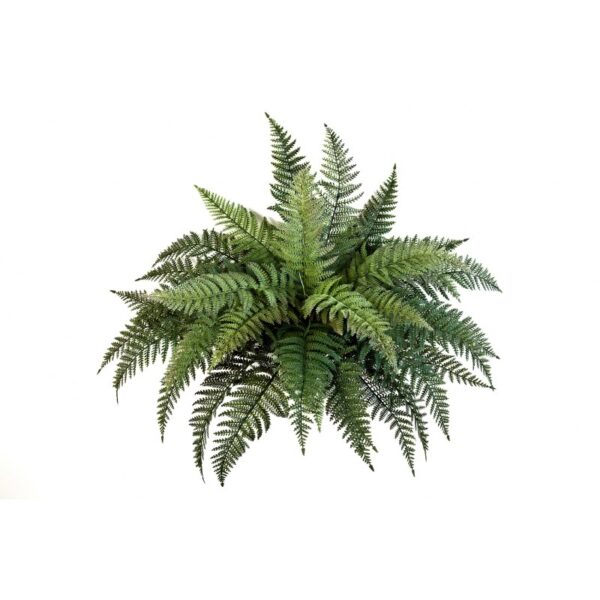 FERN CESPUGLIO X 35 - PLASTIC - 70CM
