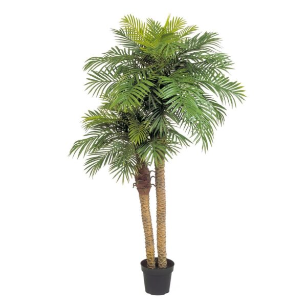 PHOENIX PALM DOUBLE CON VASO - 195CM