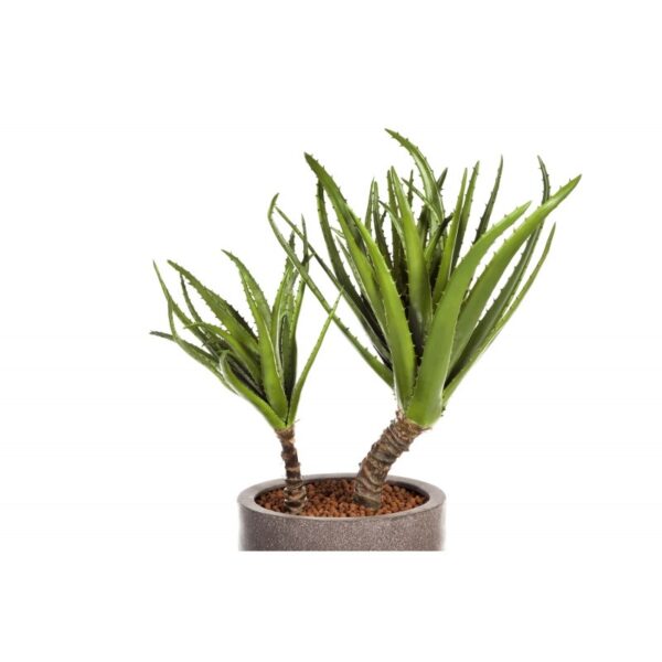 AGAVE ON TRUNK - 120CM