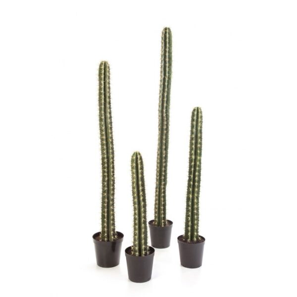 CACTUS SINGLE COLUMN 206CM