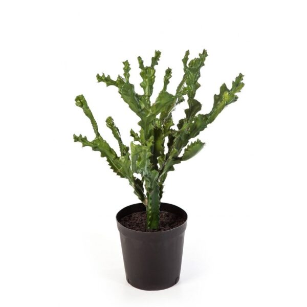 CACTUS MOUNTAIN CON VASO - 76CM