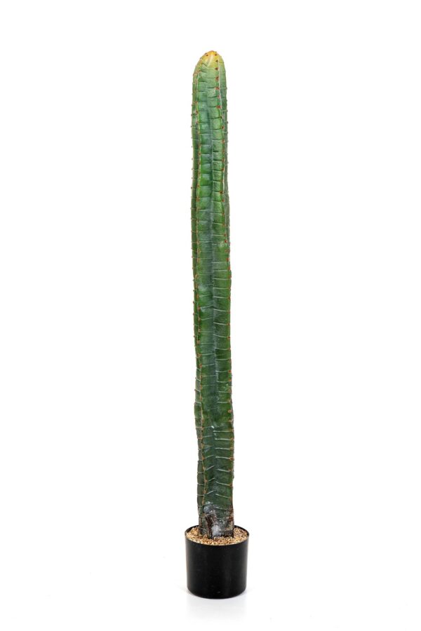 CACTUS CEREUS COLUMN - 140CM