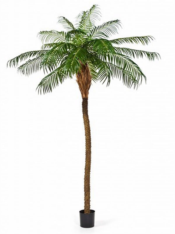 PHOENIX PALM DE LUXE - 225CM