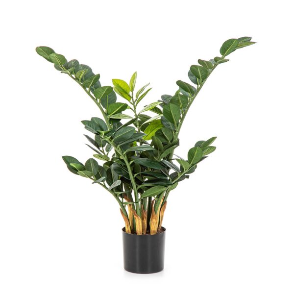 ZAMIO SMARAGD ZAMIO PIANTA - 66CM