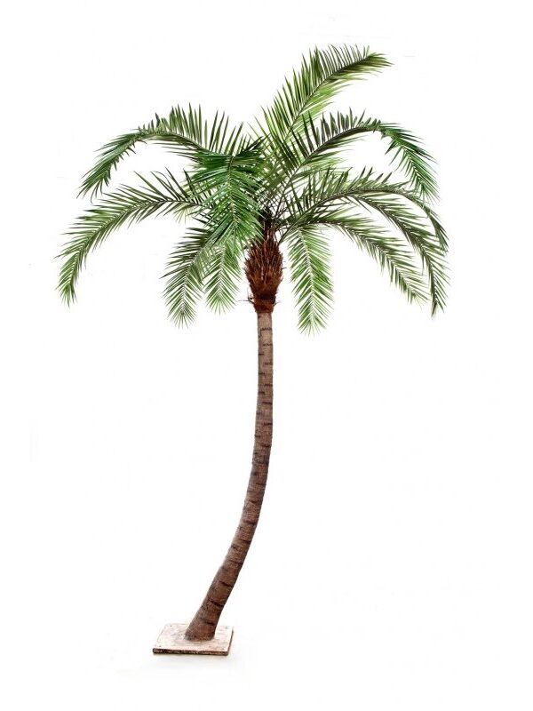 PHOENIX CURVED PALM - 300CM
