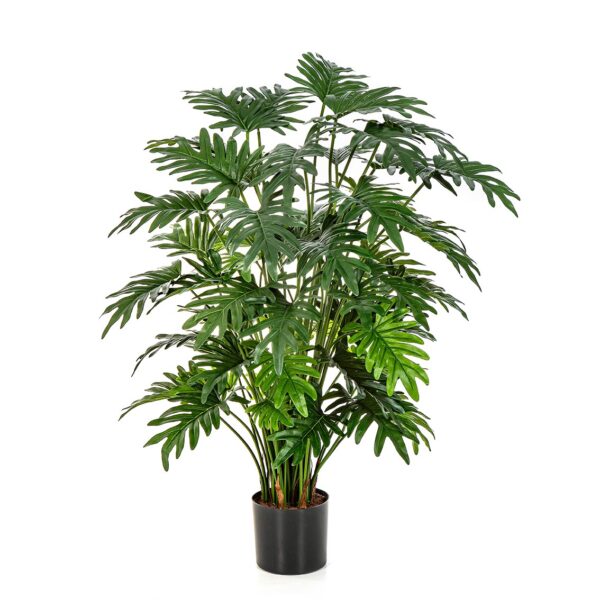 PHILODENDRON SELLOUM - 100CM
