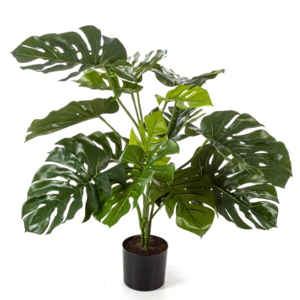 SPLIT PHILO CON VASO - 85CM