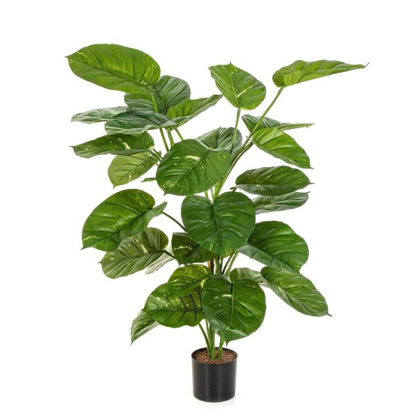 POTHOS PIANTA GIANT FOGLIA - 115CM