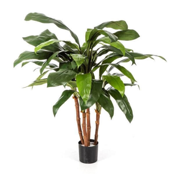 CORDYLINE CESPUGLIO TREE - 90CM