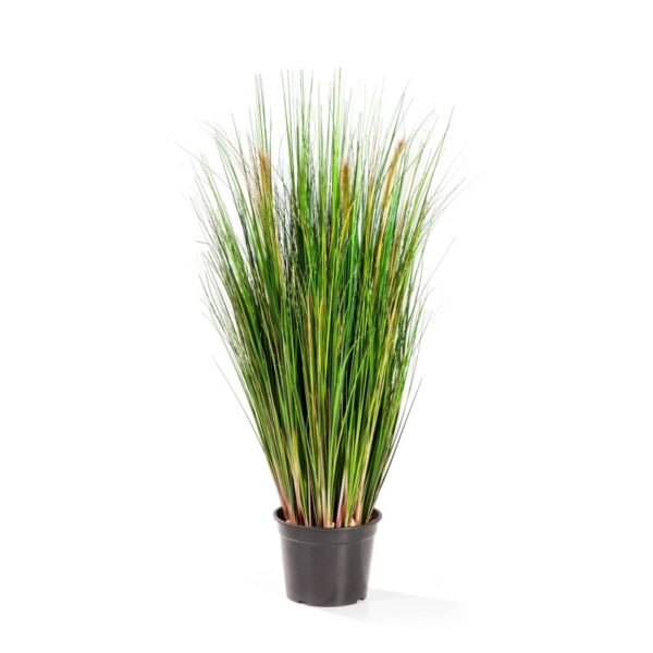 FOXTAIL GRASS W/VERDE FL - 90CM
