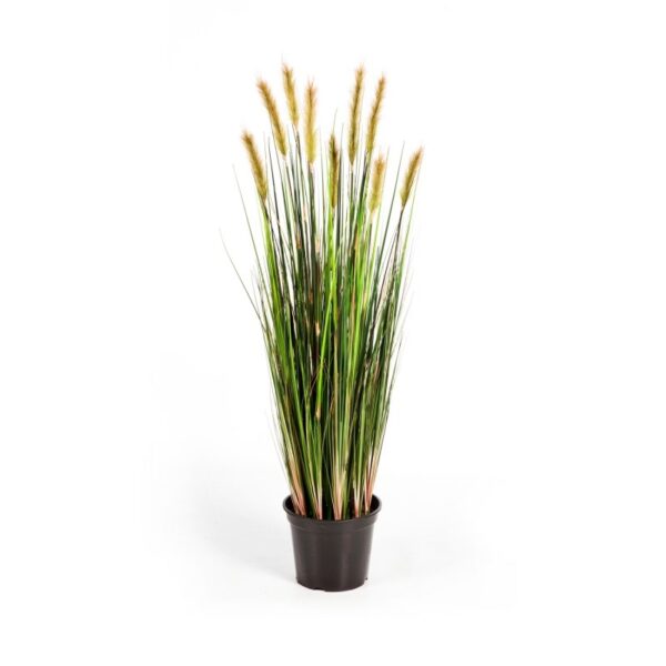 FOXTAIL GRASS W/VERDE FL - 120CM