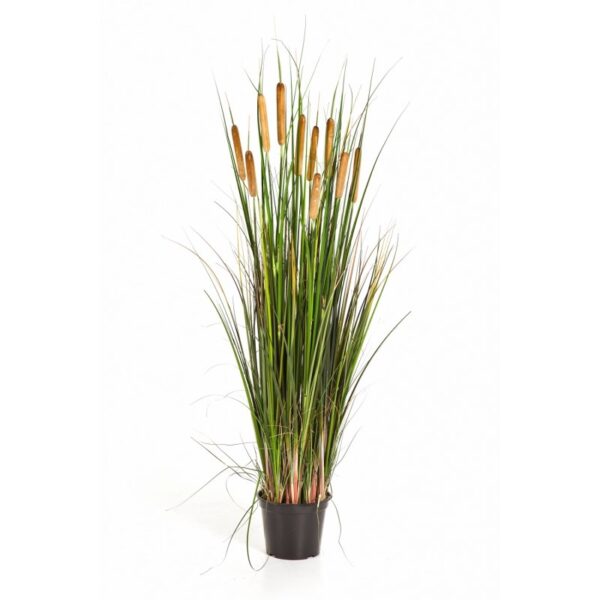 CATTAIL GRASS W/BROWN FL - 120CM