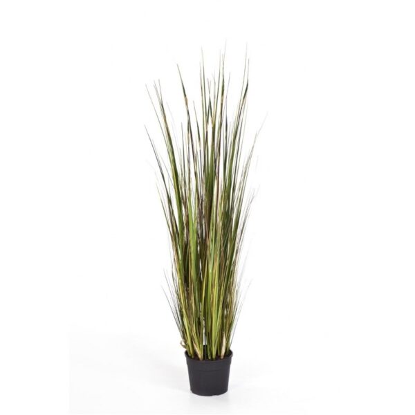 BAMBOO GRASS X 5 - 90CM