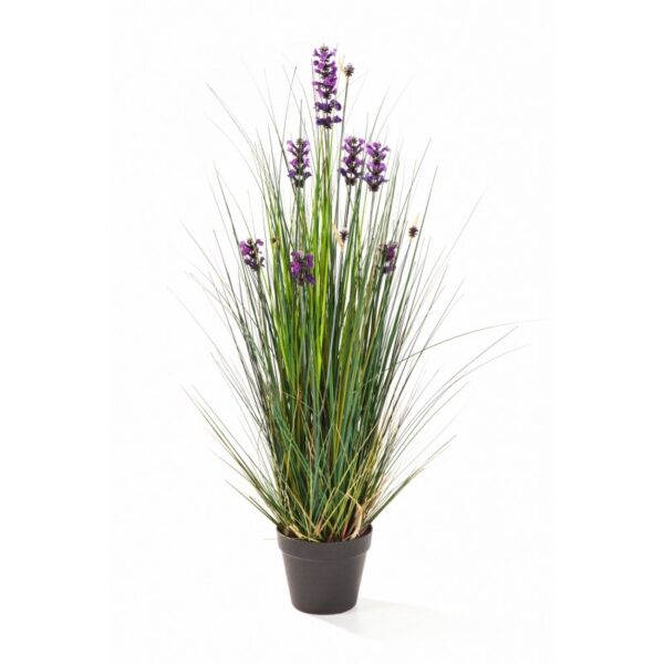 LAVENDER GRASS - 120CM