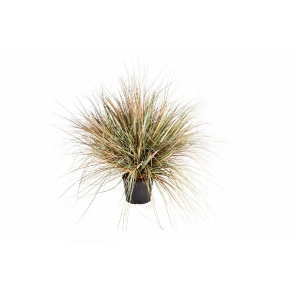 ONION AUTUMN GRASS X 3056-7 - 70CM