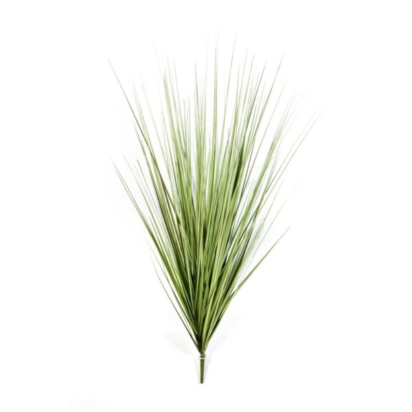 CAREX GRASS VARIEGATA, PICK 100 C - 100CM