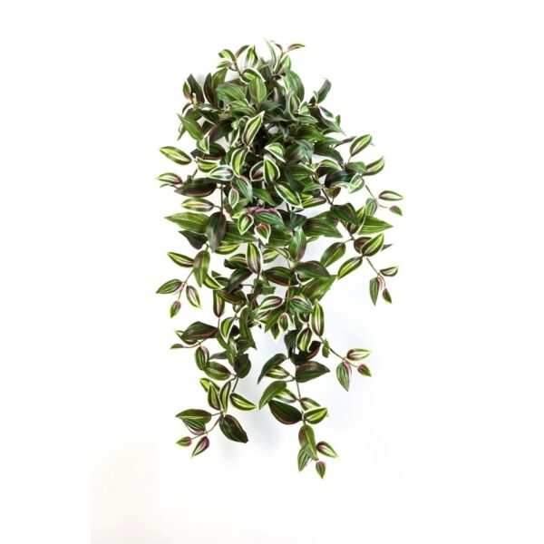 WANDERING JEW SOSPESA CESPUGLIO - 70CM
