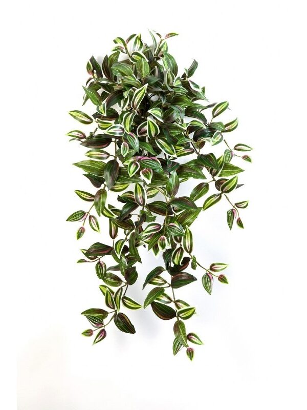 WANDERING JEW SOSPESA CESPUGLIO - 70CM