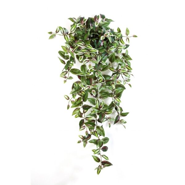 WANDERING JEW SOSPESA CESPUGLIO - 95CM