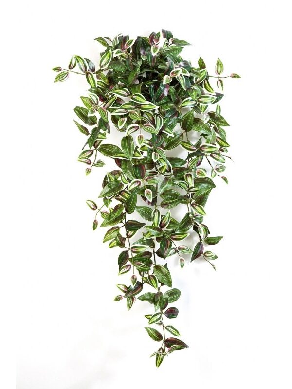 WANDERING JEW SOSPESA CESPUGLIO - 95CM