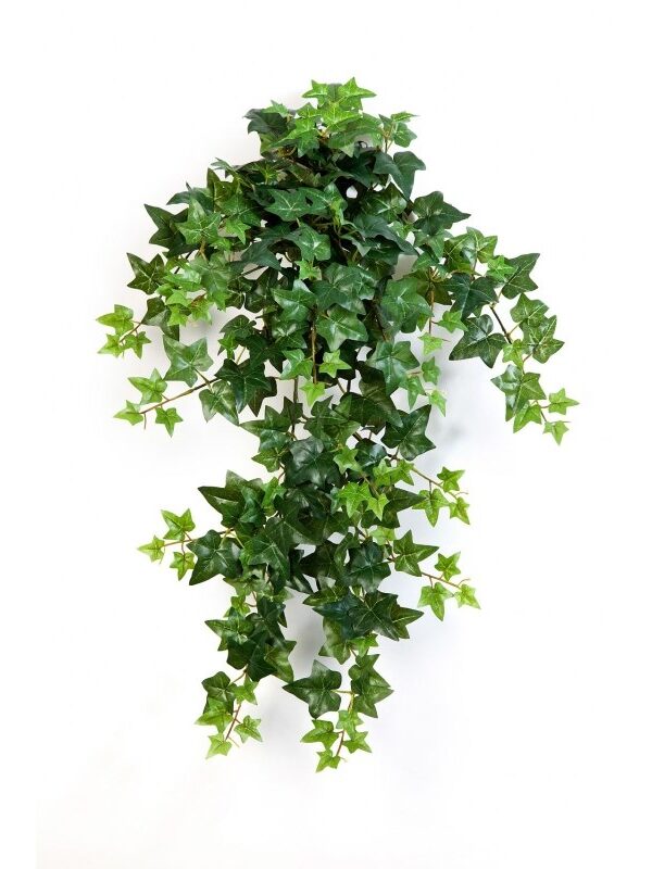IVY VERDE SOSPESA CESPUGLIO X 12 - 70CM