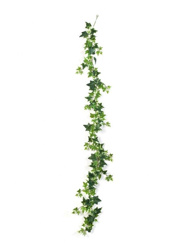 IVY VARIEGATA GARLAND - 180CM