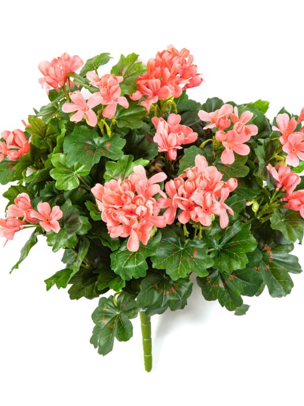 GERANIUM RICADENTE CESPUGLIO - 35CM