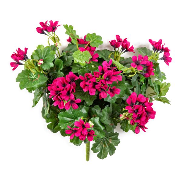 GERANIUM RICADENTE CESPUGLIO - 35CM