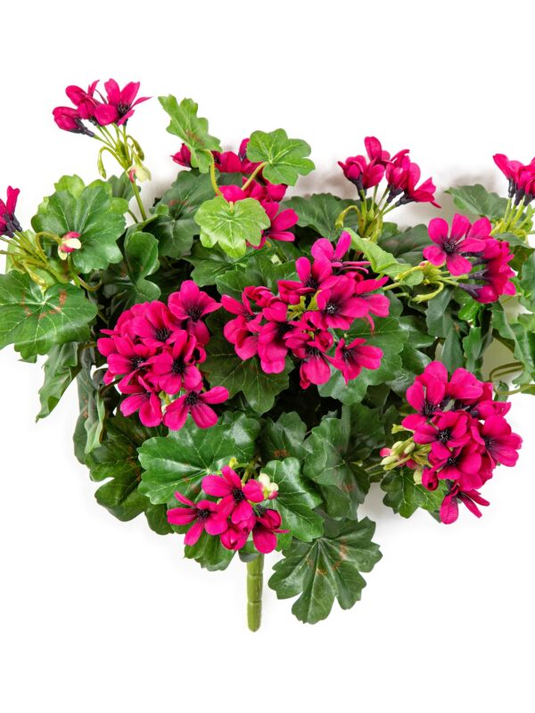 GERANIUM RICADENTE CESPUGLIO - 35CM