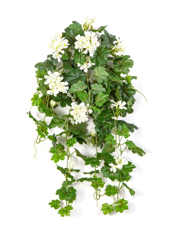 GERANIUM RICADENTE SOSPESA BU - 72CM
