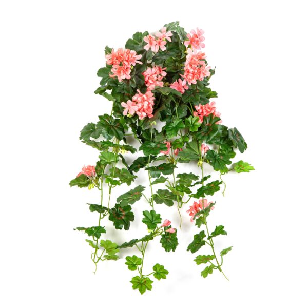 GERANIUM RICADENTE SOSPESA BU - 72CM