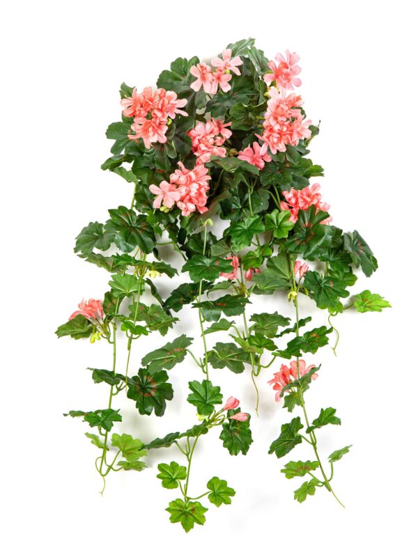GERANIUM RICADENTE SOSPESA BU - 72CM