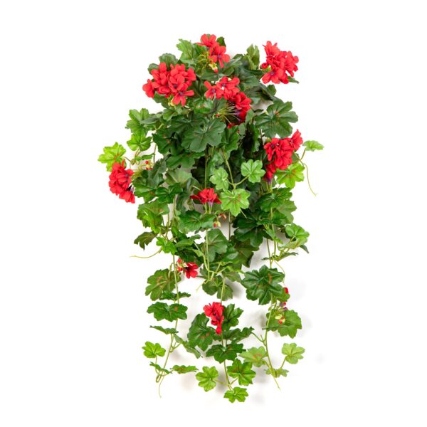 GERANIUM RICADENTE SOSPESA BU - 72CM