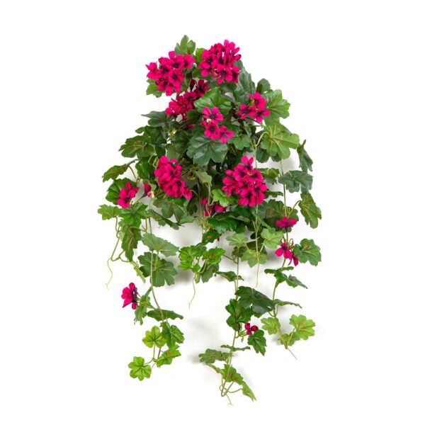 GERANIUM RICADENTE SOSPESA BU - 72CM