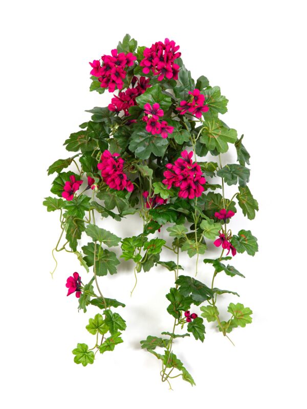 GERANIUM RICADENTE SOSPESA BU - 72CM