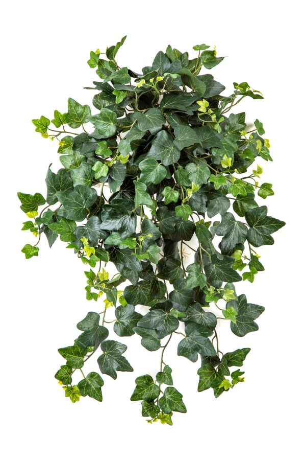 IVY SOSPESA CESPUGLIO X 262 - 65CM UV RESISTENTE