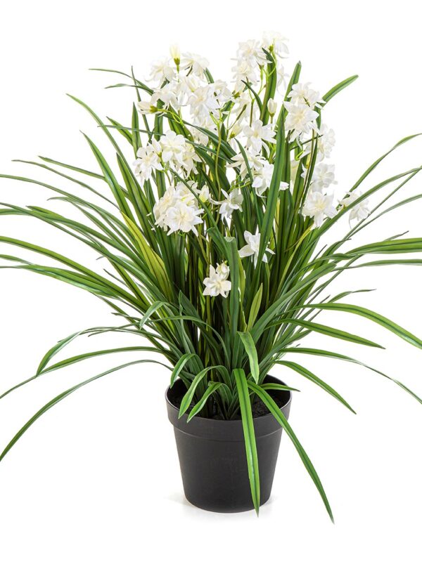 ORCHIDEA WILD BIANCO CON VASO - 85CM