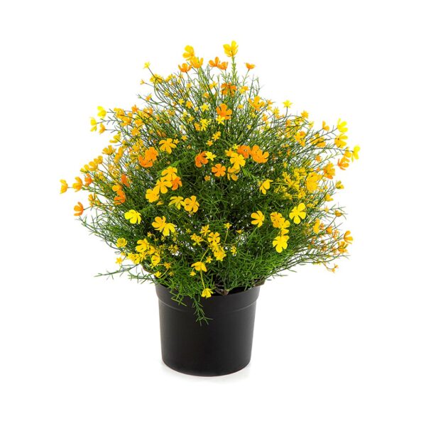 GYPSOPHILA CESPUGLIO CON VASO - YEL - 48CM
