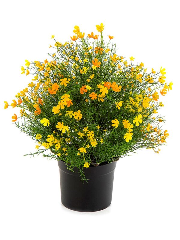 GYPSOPHILA CESPUGLIO CON VASO - YEL - 48CM