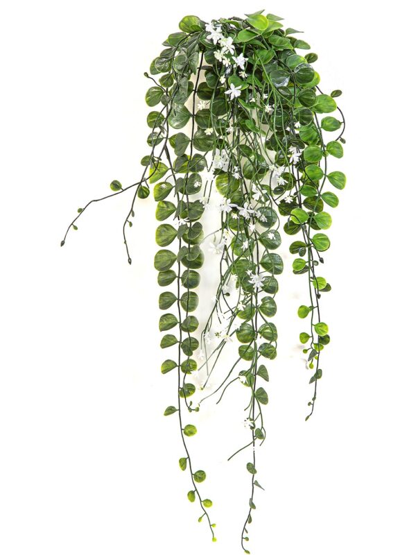 DICHONDRA SOSPESA B, CREMA- 58CM UV RESISTENTE