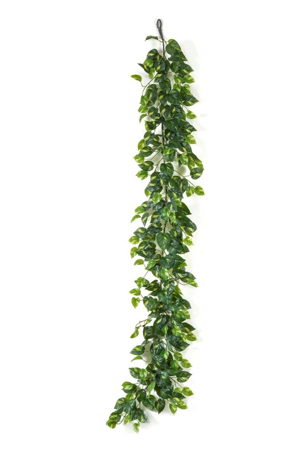 POTHOS GARLAND 180 CM - 180CM