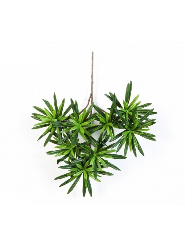 PODOCARPUS SPRAY - 35CM