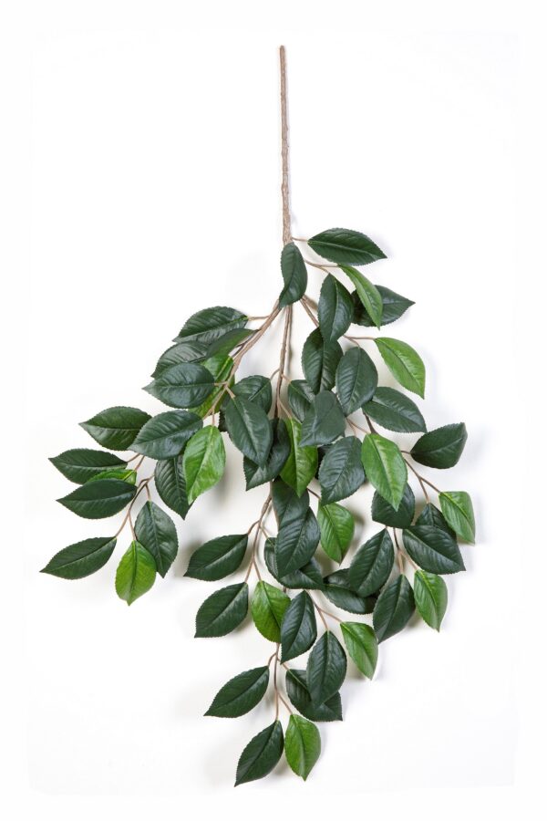 CAMELIA SPRAY X 3 - 55CM