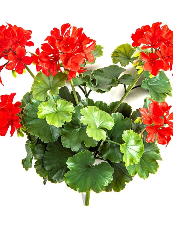 GERANIUM CESPUGLIO ROSSO - 39CM UV RESISTENTE