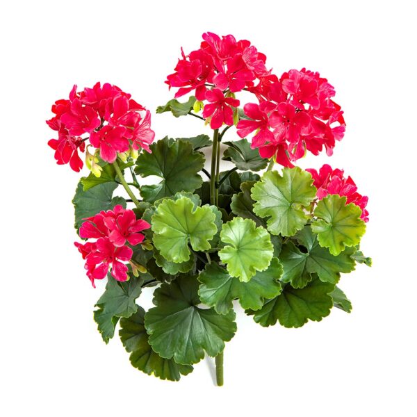 GERANIUM CESPUGLIO VIOLET - 39CM UV RESISTENTE